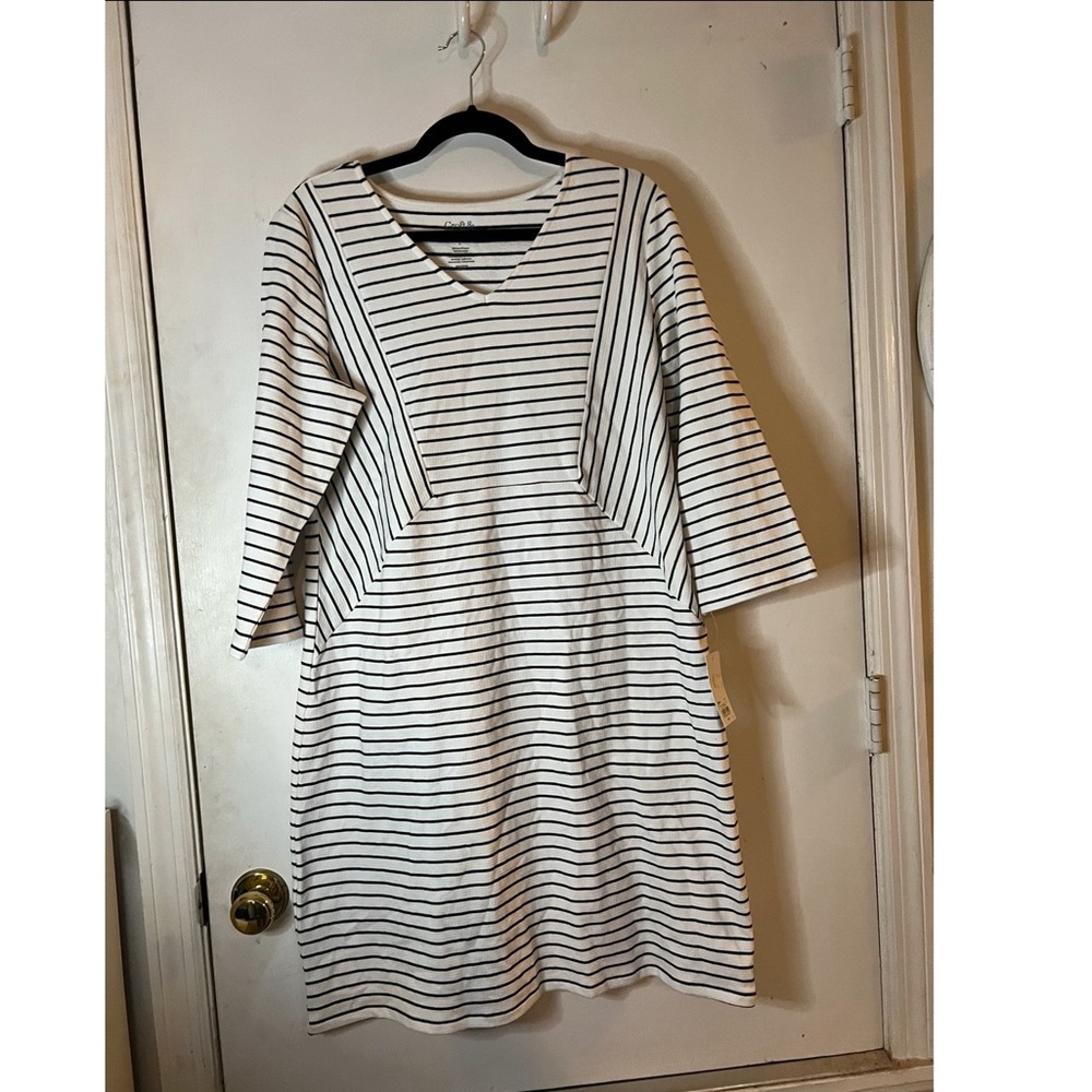 Craft and Borrow dress (L)